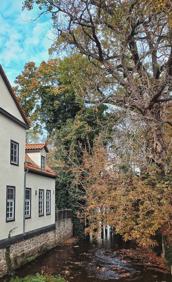 Öltank entsorgen in Göttingen